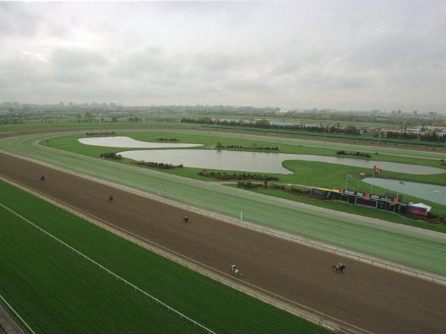 There is racing at Woodbine on Saturday